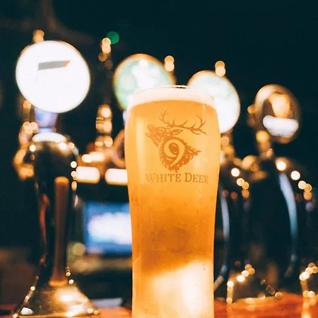 Salty Dog Restaurant, Pub & *