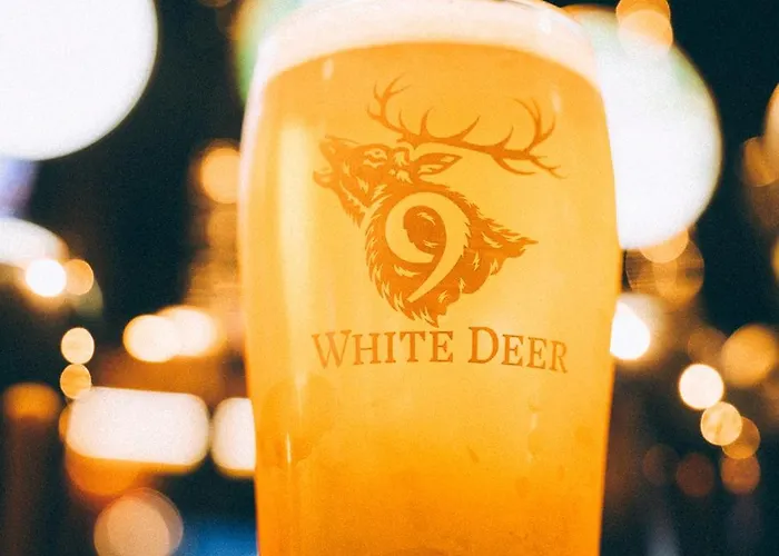 Hotel Salty Dog Restaurant, Pub & Ballycotton