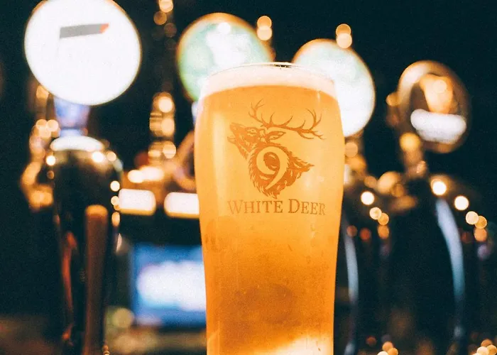 Salty Dog Restaurant, Pub & *